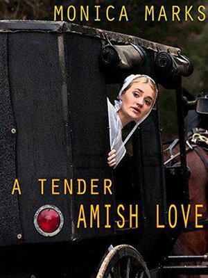 cover image of A Tender Amish Love
